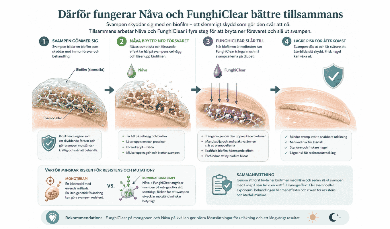 Biofilm - nagelsvamp